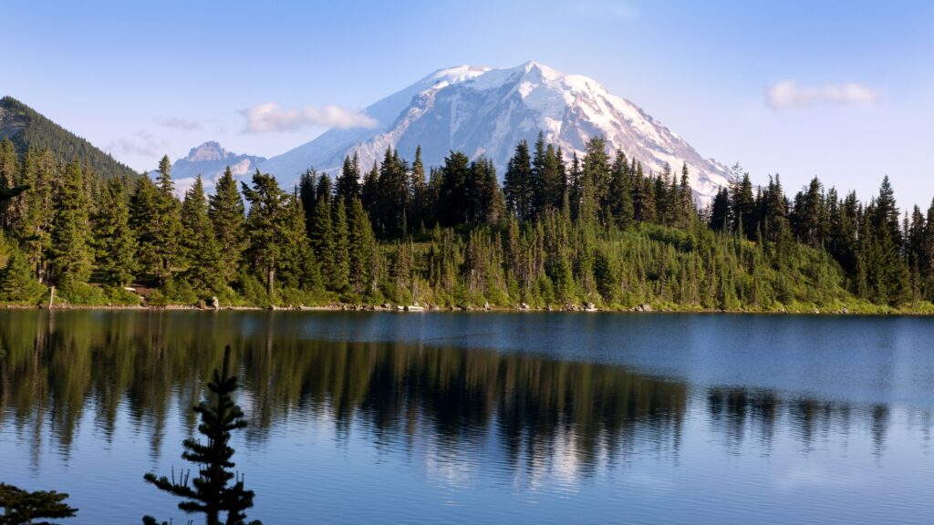 Chiropractic Injury Care Trusted by Attorneys Across Washington