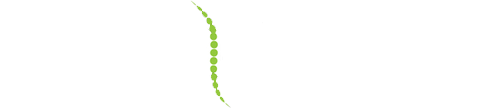 Accident Injury Chiropractors in Washington
